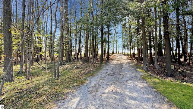 20202 50th Ave, Marion, MI 49665 - view of road