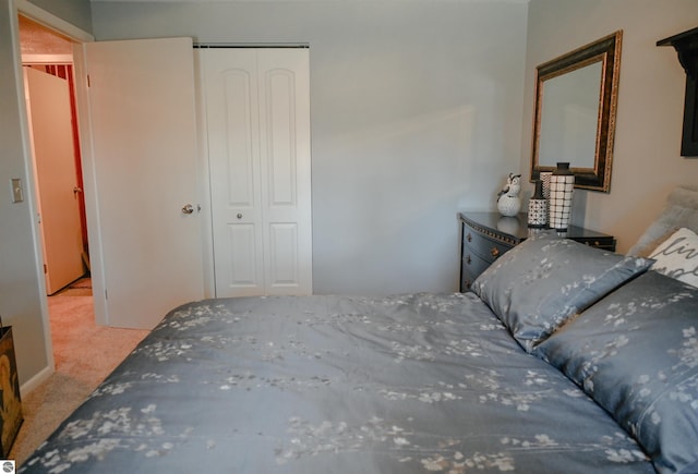 11255 E Fort Rd Unit H1, Suttons Bay, MI 49682 - bedroom featuring carpet floors and a closet