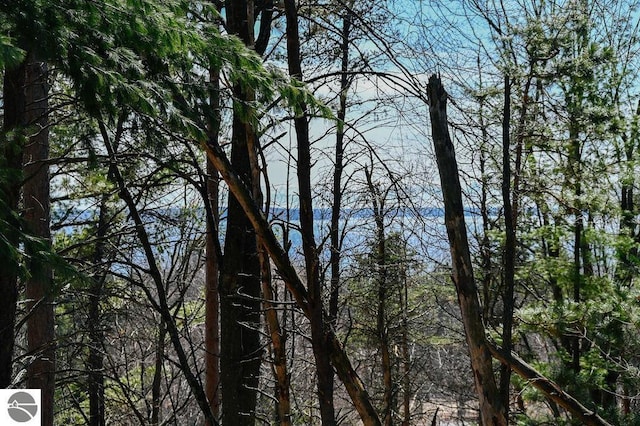 11255 E Fort Rd Unit H1, Suttons Bay, MI 49682 - water view featuring a heavily wooded area