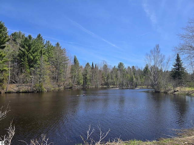000 SW Terrace Blvd, South Boardman, MI 49680
