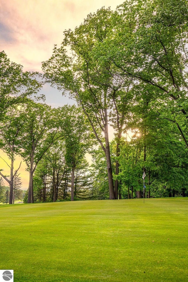 5540 Golf Meadows Dr, Bellaire, MI 49615 - view of property's community featuring a yard and view of wooded area