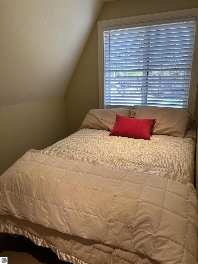 2050 Hiawatha Dr, Cadillac, MI 49601 - bedroom with vaulted ceiling