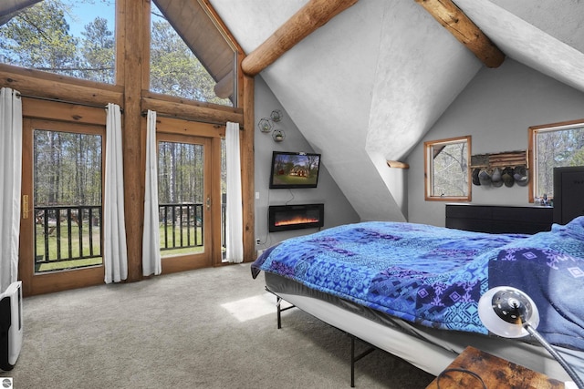512 Indiana St, Manton, MI 49663 - carpeted bedroom featuring access to outside and a glass covered fireplace