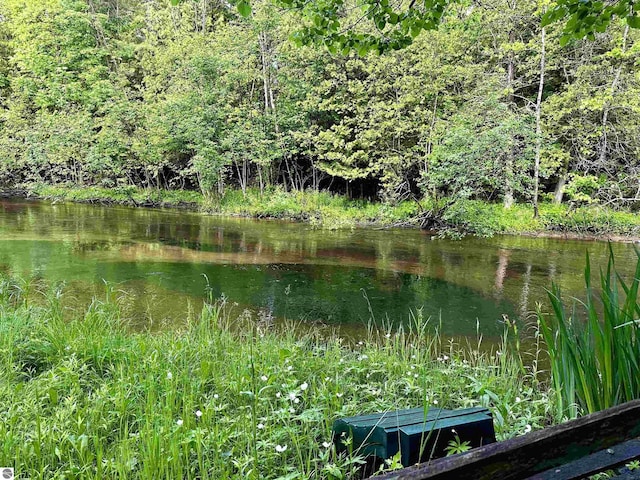 LOT16 Pine Meadows Dr, Thompsonville, MI 49683