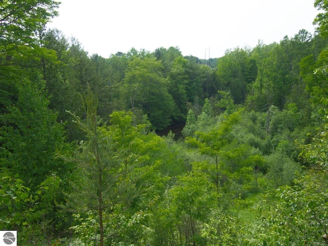 LOT16 Pine Meadows Dr, Thompsonville, MI 49683