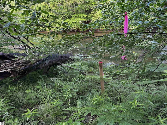 LOT16 Pine Meadows Dr, Thompsonville, MI 49683