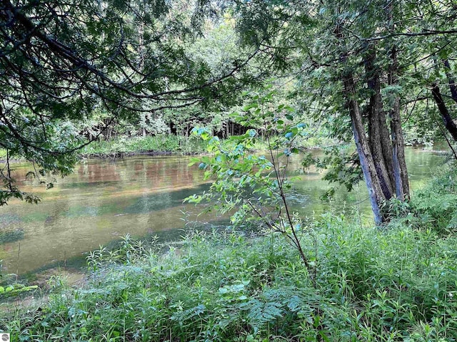 LOT16 Pine Meadows Dr, Thompsonville, MI 49683