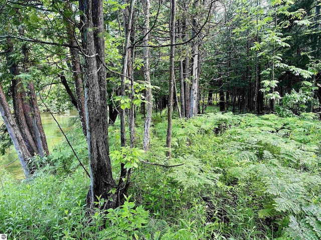 LOT16 Pine Meadows Dr, Thompsonville, MI 49683