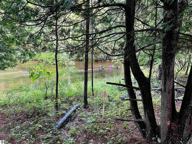 LOT16 Pine Meadows Dr, Thompsonville, MI 49683