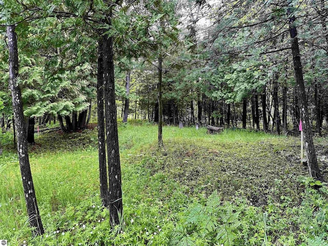 LOT16 Pine Meadows Dr, Thompsonville, MI 49683
