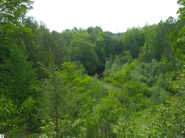 LOT16 Pine Meadows Dr, Thompsonville, MI 49683
