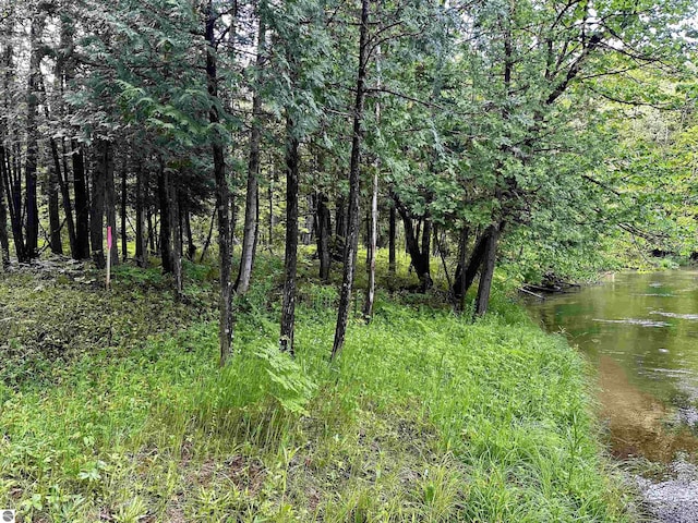 LOT16 Pine Meadows Dr, Thompsonville, MI 49683