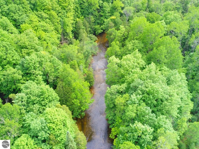 LOT16 Pine Meadows Dr, Thompsonville, MI 49683