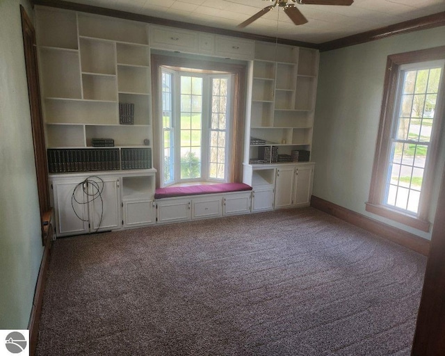 442 E Harris St, Cadillac, MI 49601 - empty room with ceiling fan, carpet, and baseboards