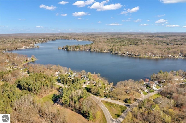 aerial view of a forest and a large body of water