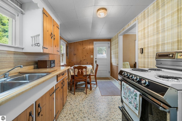 7548 S Dune Hwy, Empire, MI 49630 - kitchen with white electric range oven, healthy amount of natural light, brown cabinets, a sink, and vaulted ceiling