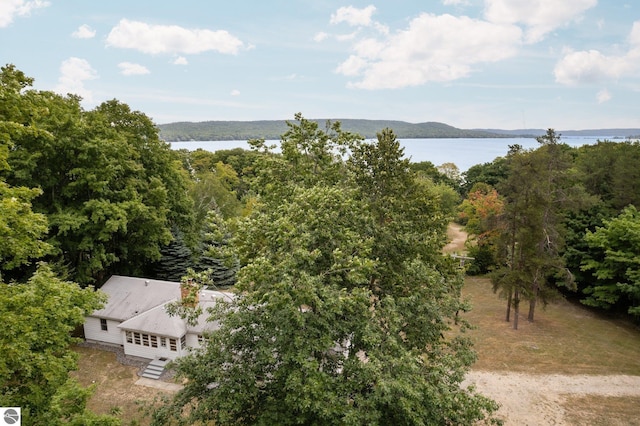 7548 S Dune Hwy, Empire, MI 49630 - aerial view of a nearby body of water and a forest