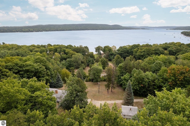 7548 S Dune Hwy, Empire, MI 49630 - drone / aerial view of a large body of water and a heavily wooded area