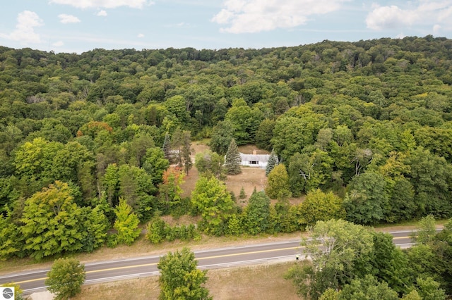 7548 S Dune Hwy, Empire, MI 49630 - bird's eye view of a forest
