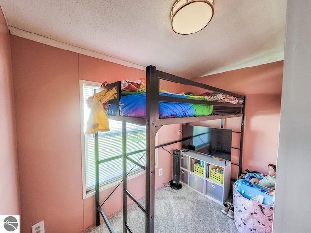 411 S Grover Ave Lot 39, Alma, MI 48801 - carpeted bedroom with a textured ceiling