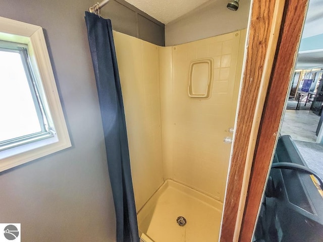 411 S Grover Ave Lot 39, Alma, MI 48801 - bathroom with a shower stall and plenty of natural light