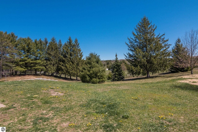 8233 Barney Rd, Traverse City, MI 49684 - view of grassy yard
