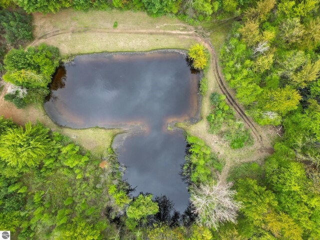 8670 E Pickard Rd, Mount Pleasant, MI 48858 - bird's eye view of a nearby body of water