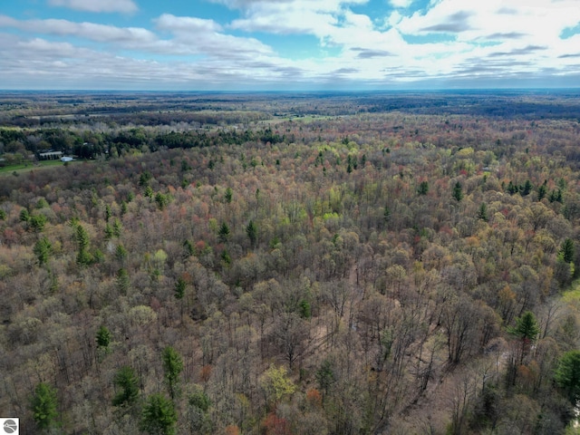 8670 E Pickard Rd, Mount Pleasant, MI 48858 - view of property location featuring a forest