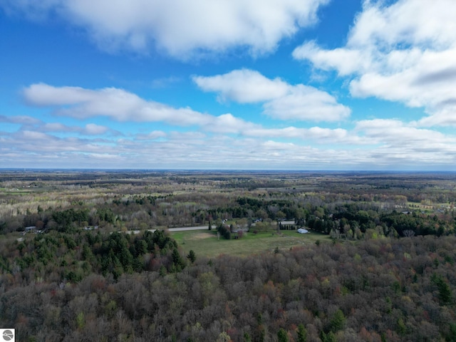 8670 E Pickard Rd, Mount Pleasant, MI 48858 - bird's eye view of a forest