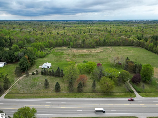 8670 E Pickard Rd, Mount Pleasant, MI 48858 - drone / aerial view of a forest
