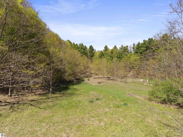 view of tree filled area