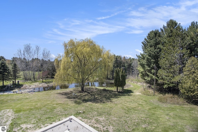 3121 Grace Rd, Frankfort, MI 49635 - view of green lawn with a water view and a view of trees