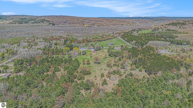 3121 Grace Rd, Frankfort, MI 49635 - aerial view of property's location featuring a heavily wooded area
