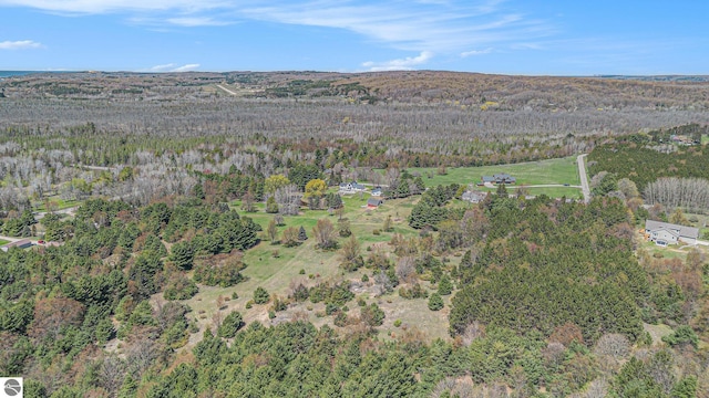 3121 Grace Rd, Frankfort, MI 49635 - aerial overview of property's location with a forest
