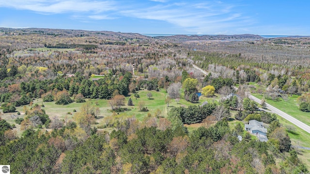 3121 Grace Rd, Frankfort, MI 49635 - aerial view of property and surrounding area featuring a forest and a mountainous background