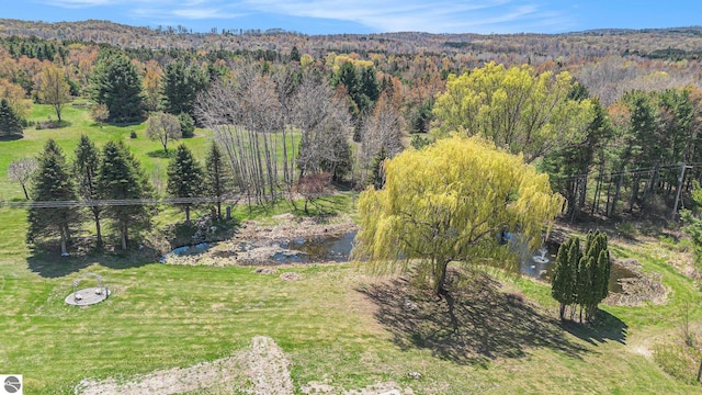 3121 Grace Rd, Frankfort, MI 49635 - drone / aerial view of a heavily wooded area