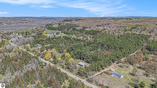 3121 Grace Rd, Frankfort, MI 49635 - aerial view of property's location featuring a heavily wooded area