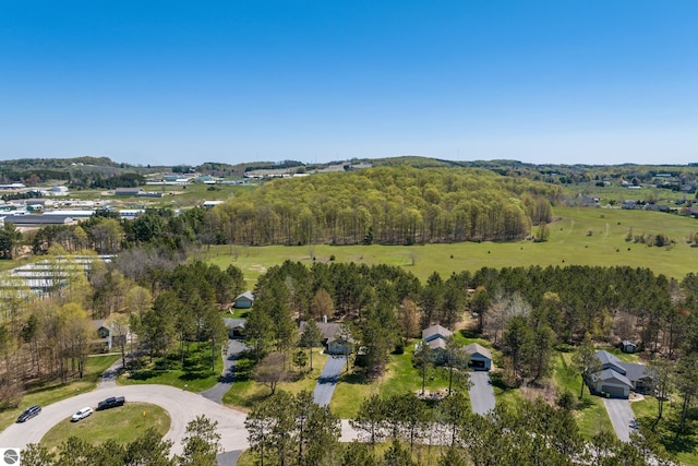 8256 Mapleleaf Dr, Traverse City, MI 49684 - view of property location