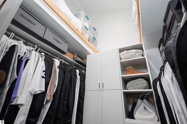 20651 E Trails End Trl, Interlochen, MI 49643 - view of spacious closet