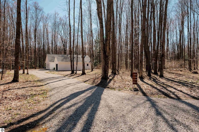 20651 E Trails End Trl, Interlochen, MI 49643 - view of dirt / gravel road with a view of trees