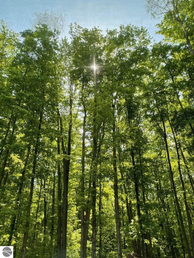 20651 E Trails End Trl, Interlochen, MI 49643 - view of nature