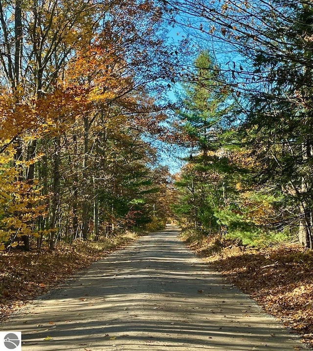 20651 E Trails End Trl, Interlochen, MI 49643 - view of road