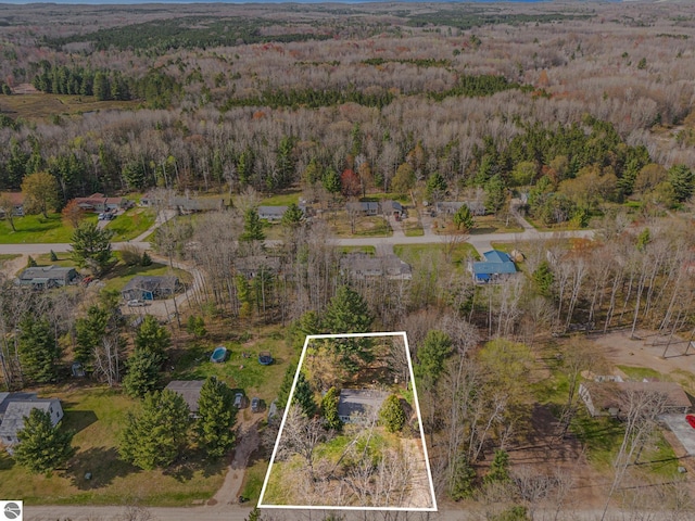 7401 Red Maple Dr, Cadillac, MI 49601 - aerial overview of property's location with a forest and property parcel outlined