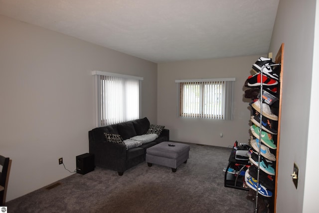view of carpeted living area