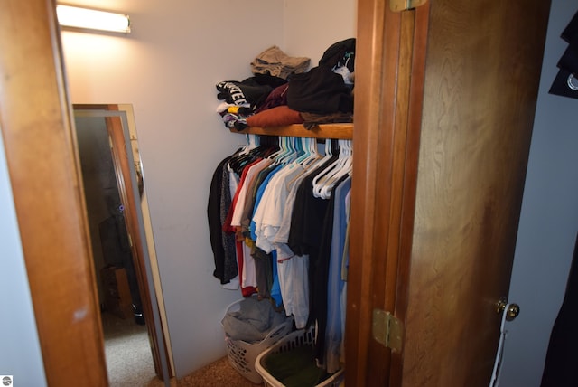 spacious closet with carpet floors
