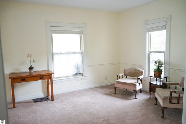 living area with carpet, healthy amount of natural light, and baseboards