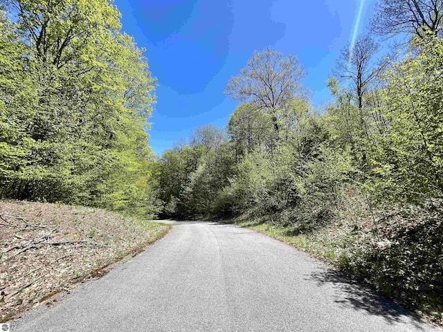 UNIT15 S Club Dr Unit 15, Cedar, MI 49621 - view of asphalt road