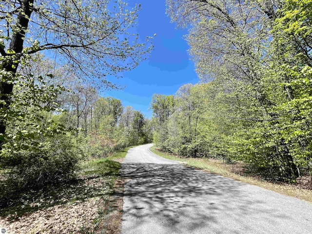 UNIT15 S Club Dr Unit 15, Cedar, MI 49621 - view of asphalt road with a forest view