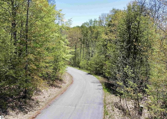 UNIT15 S Club Dr Unit 15, Cedar, MI 49621 - view of asphalt street featuring a forest view