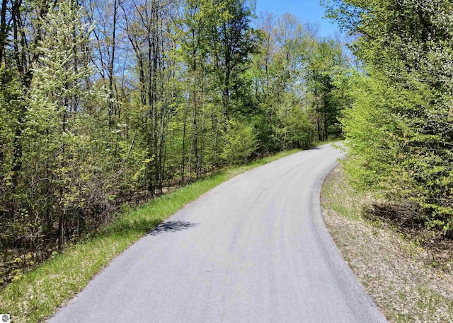 UNIT15 S Club Dr Unit 15, Cedar, MI 49621 - view of asphalt street featuring a forest view